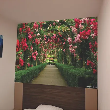 Walter 塞拉耶佛
